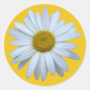 Search for daisy garden stickers White