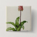 Search for redoute badges Illustration