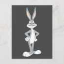 Search for stare Looney tunes