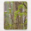 Search for rhododendron electronics Bloom