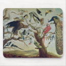 Search for fran mousepads Snyders