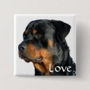Search for rotweiller accessories Puppies