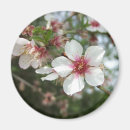 Search for blossoms on tree magnets Flowering