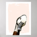 Search for duck nursery art Baby animal