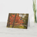 Search for birth mothers day cards Mum