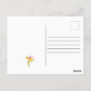 Search for funny cockatoo postcards Cute