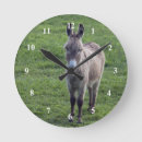 Search for donkey clocks Animal
