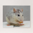 Search for rat puzzles Mouse