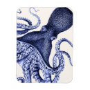 Search for marine life magnets Octopus