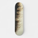 Search for dunes skateboards Beach