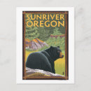 Search for bear river postcards Forest