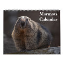 Search for groundhog calendars Rodents