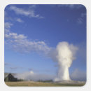 Search for wyoming stickers Old faithful