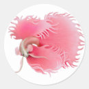 Search for freshwater fish stickers Betta
