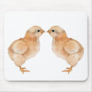 Search for baby chicks mousepads Chicken