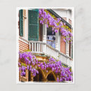 Search for southern postcards Souvenir