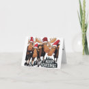 Search for funny moose christmas cards Animals