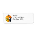 Search for autumn harvest return address labels Pumpkins