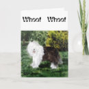 Search for old english sheepdog cards Dog lover