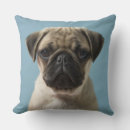 Search for pug cushions Animals