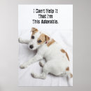 Search for jack russell posters Puppy