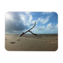 Search for seaside magnets Sky