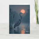Search for heron cards Wildlife
