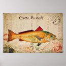 Search for vintage fish illustrations posters Sea