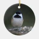 Search for chickadee christmas tree decorations Birds