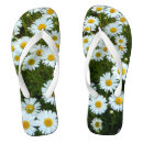 Search for daisies shoes Daisy