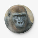 Search for gorilla paper plates Primates
