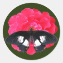 Search for red rose petals stickers Black