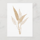 Search for botanical postcards Boho