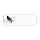 Search for crazy return address labels Black