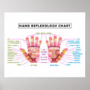 Search for reflexology posters Chiropractic