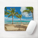 Search for coconut palm electronics Beach