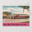 Search for florida everglades postcards Vintage