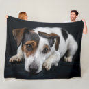 Search for jack russell blankets Terrier