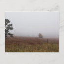 Search for autumn fog postcards National park