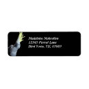 Search for cockatoo return address labels Parrot
