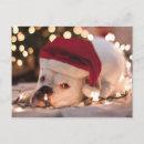 Search for virginia christmas cards Pets