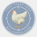 Search for farms Watercolor chicken