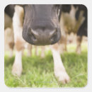 Search for farm scene stickers Agriculture