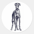 Search for greyhounds stickers Whippet
