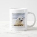 Search for baby seal mugs Snow