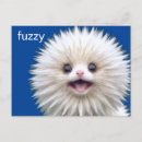 Search for fuzzy creature Cute