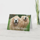 Search for funny lion birthday cards Cute