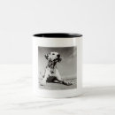 Search for dalmation mugs Puppy
