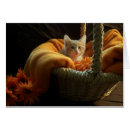 Search for kitty postage Fun
