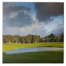 Search for golf tiles Lake